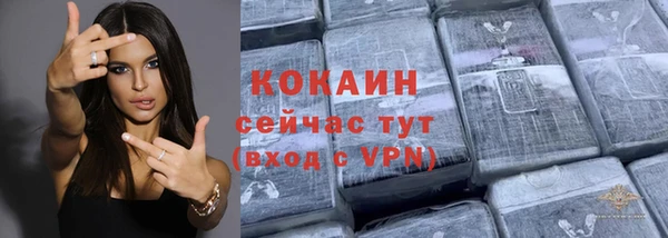 дмт Дмитриев