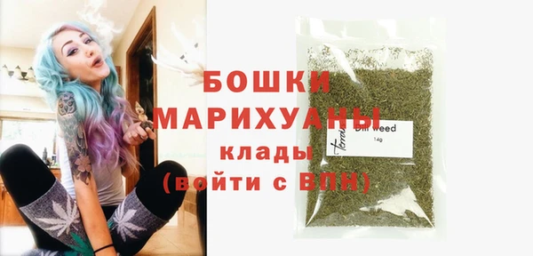 дмт Дмитриев