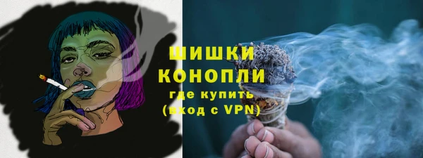 тгк Дмитровск