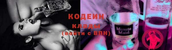 тгк Дмитровск
