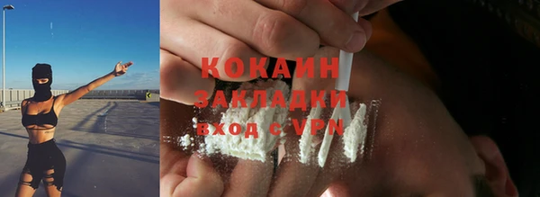 тгк Дмитровск