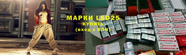 дмт Дмитриев